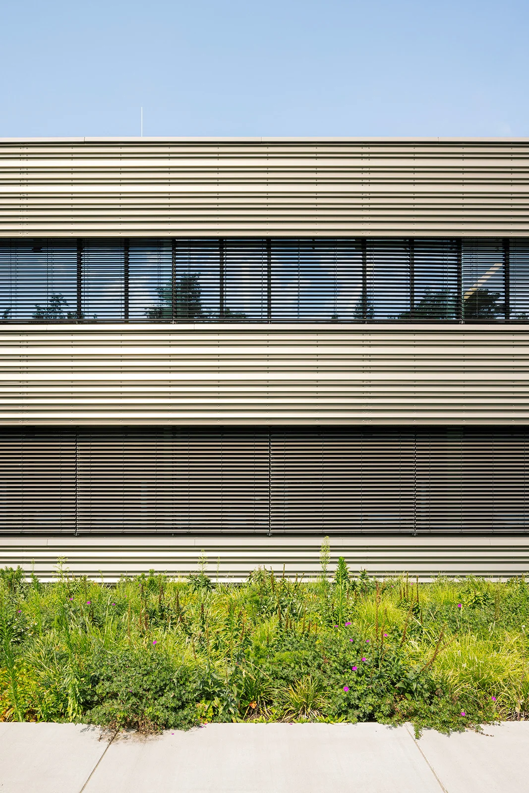 858-1204